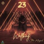 Waffking – 23 ft The Majeek